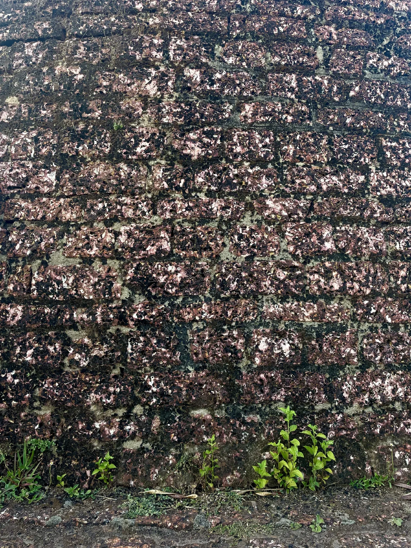 Wall